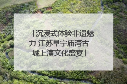 沉浸式体验非遗魅力 江苏阜宁庙湾古城上演文化盛宴